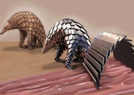 ربات «پانگولینی» که در معده فعالیت می‌کند