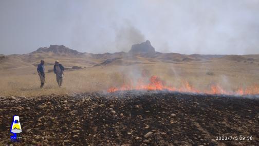 مهار آتش سوزی مراتع در دژسلیمان گچساران+تصاویر