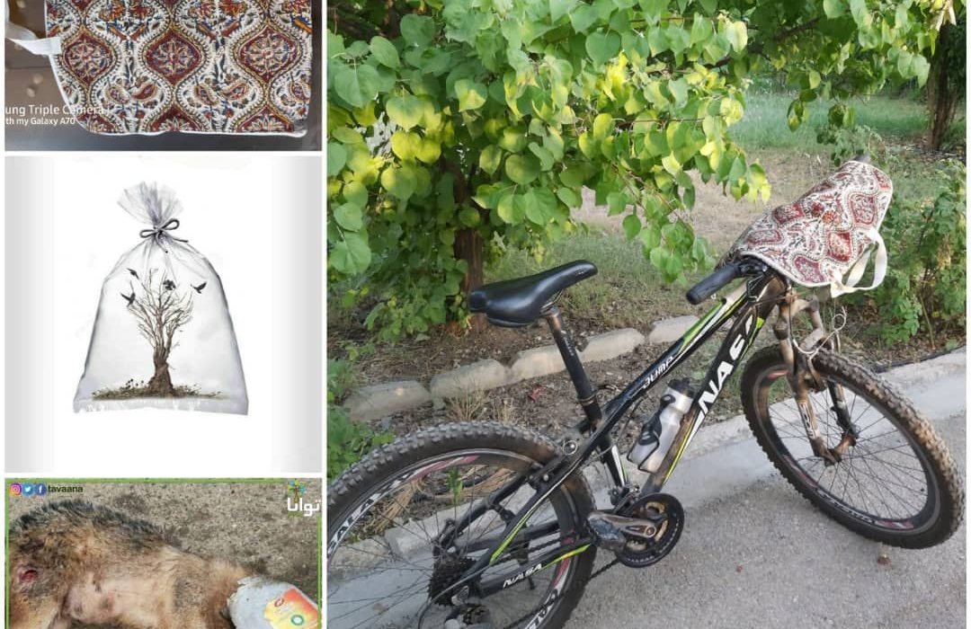 با مصرف کمتر پلاستیک به فکر حیوانات و منابع طبیعی‌ باشیم