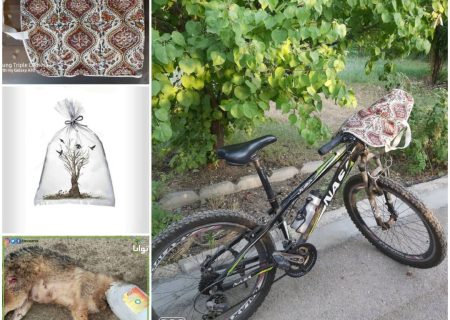 با مصرف کمتر پلاستیک به فکر حیوانات و منابع طبیعی‌ باشیم