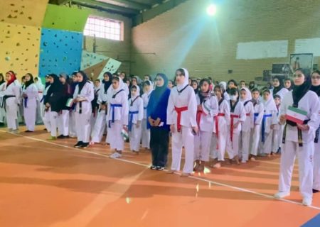 برگزاری اولین دوره مسابقات هانمادانگ و پومسه در استان کهگیلویه و بویراحمد