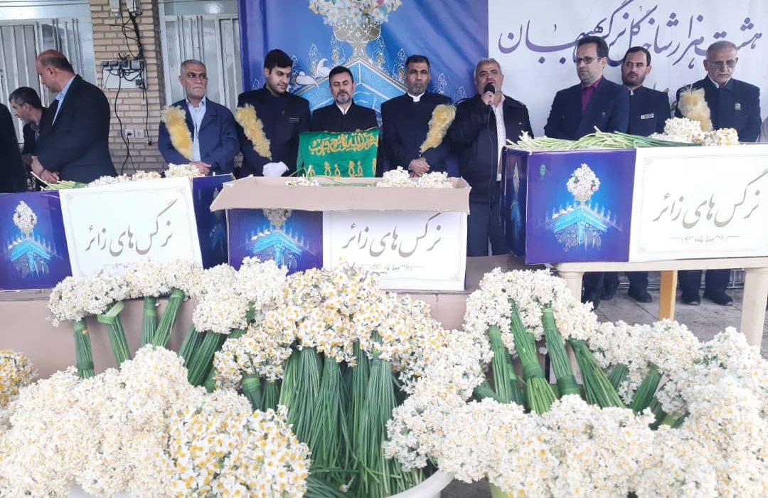 آئین اهدا ی ۸ هزار شاخه گل نرگس به حرم  مقدس امام رضا  در بهبهان برگزار شد+تصاویر