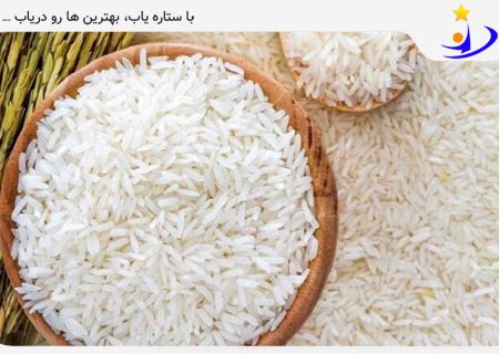 برنج پاکستانی چه مارکی خوبه؟