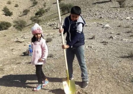 درخت بکاریم ، میراثی برای آینده