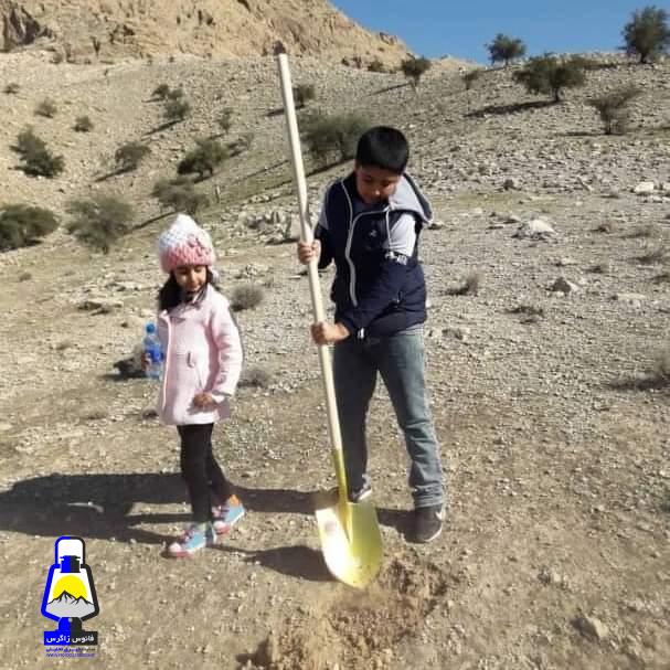 درخت بکاریم ، میراثی برای آینده