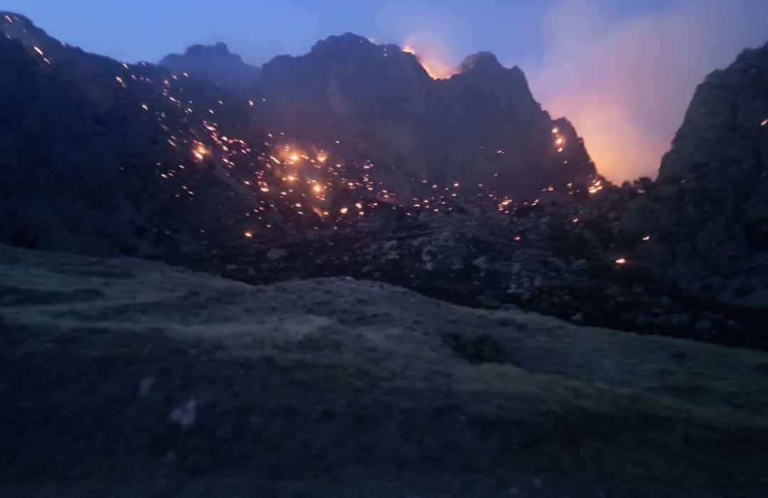 تقابل با آتش سوزی های گسترده در شهرستان باشت ادامه دارد/عملیات انتقال نیروها با بالگرد در جریان است