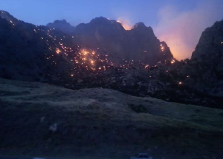 تقابل با آتش سوزی های گسترده در شهرستان باشت ادامه دارد/عملیات انتقال نیروها با بالگرد در جریان است