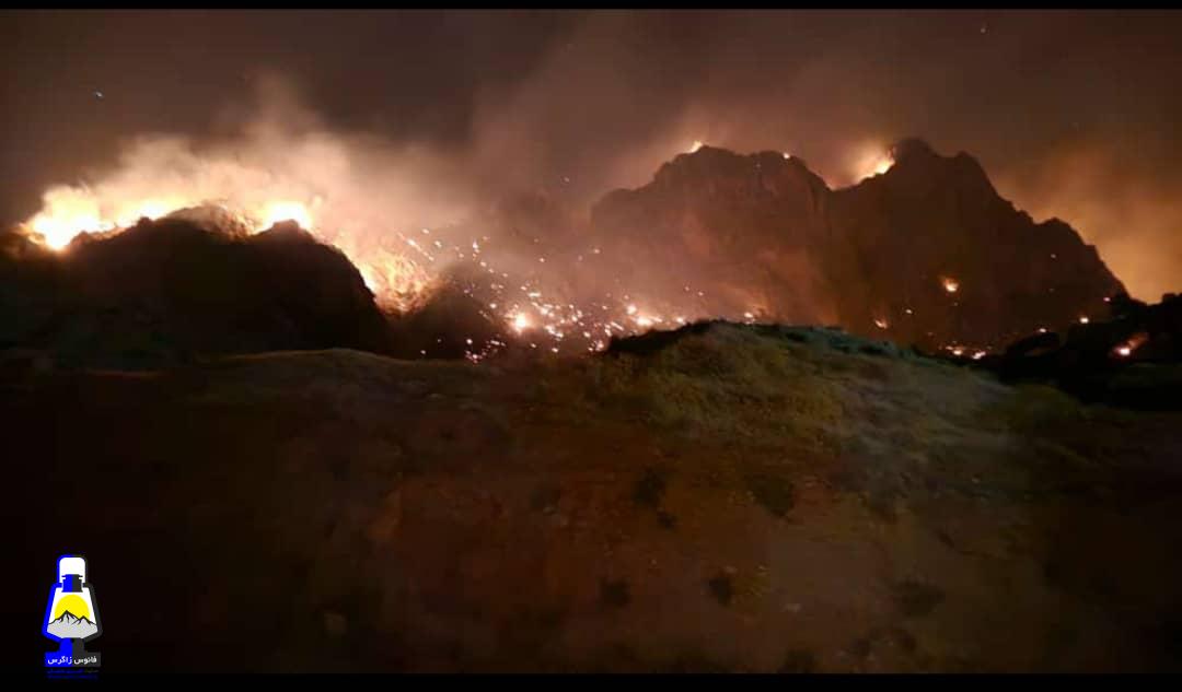 بلوطهای زاگرس از کینه میسوزند