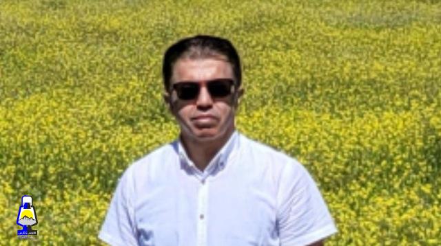 دولت بازیگر یا دولت بازیچه