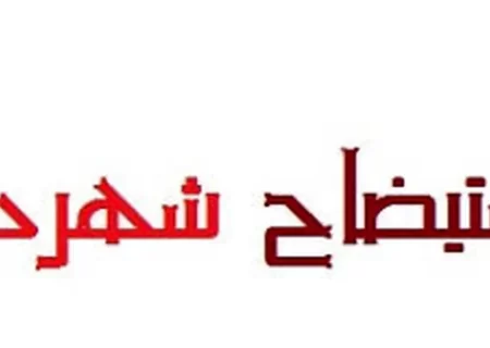 جزئیات استیضاح شهردار باشت+سند