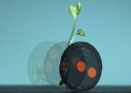ربات تربچه‌ای را می‌توان پس از استفاده خورد!