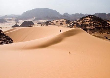 صحرای آفریقا به یکباره سبز شد؛ معجزه یا فاجعه؟