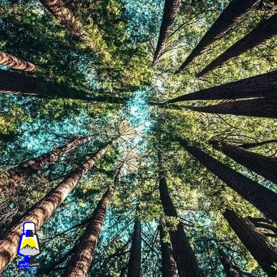 ششم نوامبر روز بین المللی پیشگیری از سوءاستفاده از محیط زیست در جنگ و مناقشات مسلحانه …