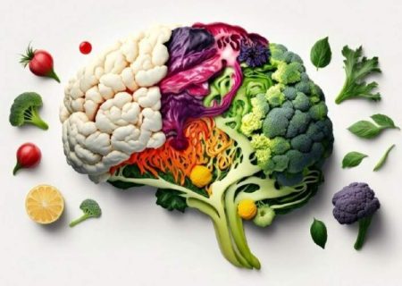 ۵ ماده غذایی برای تقویت قدرت مغز