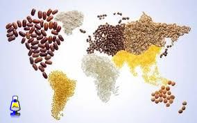 بحران گرسنگی و ایمنی غذایی