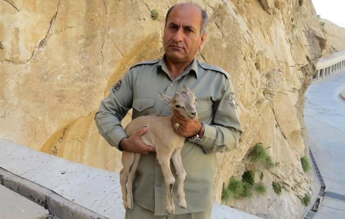 جزئیات شهادت محیطبان کهگیلویه و بویراحمدی