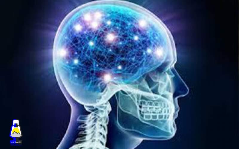 این غذاها سبب ابتلا به پارکینسون می‌شوند