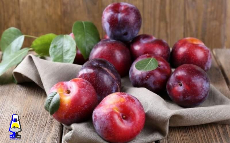 این میوه سیاه تابستانی خون شما را تمیز می‌کند