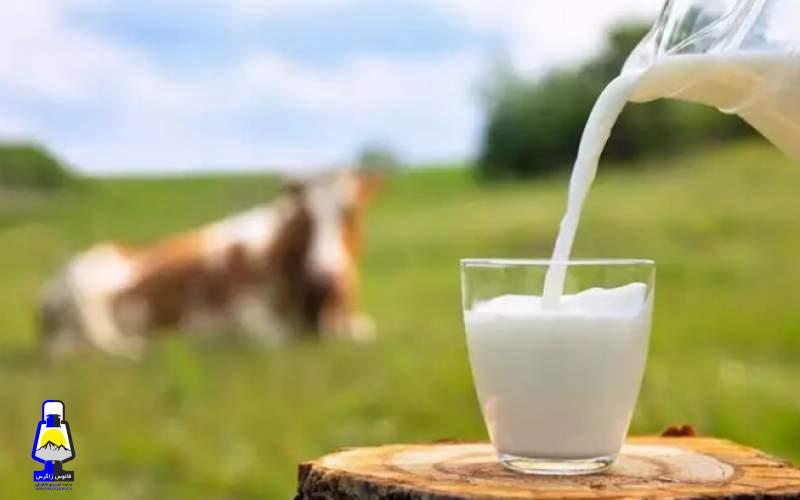 شیر پرچرب خطر بیماری‌ قلبی را افزایش می‌دهد