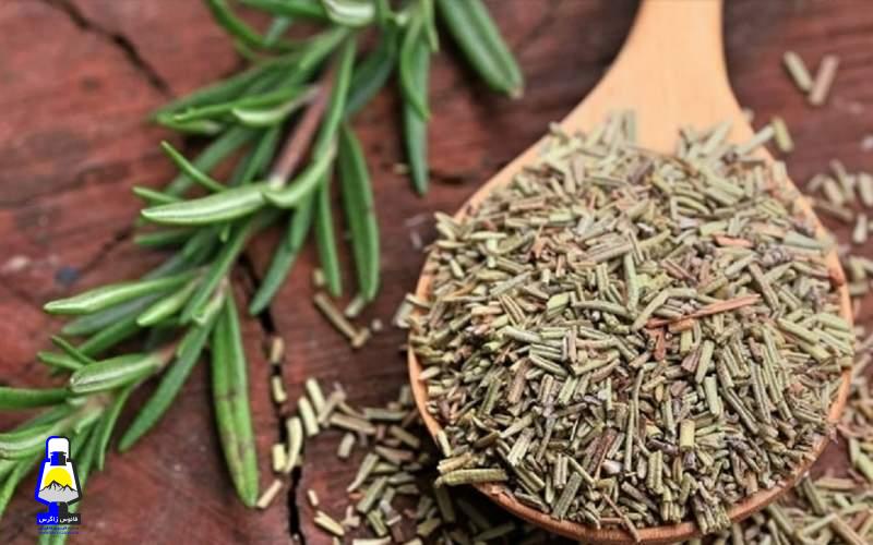 با این گیاه از آلزایمر جلوگیری کنید