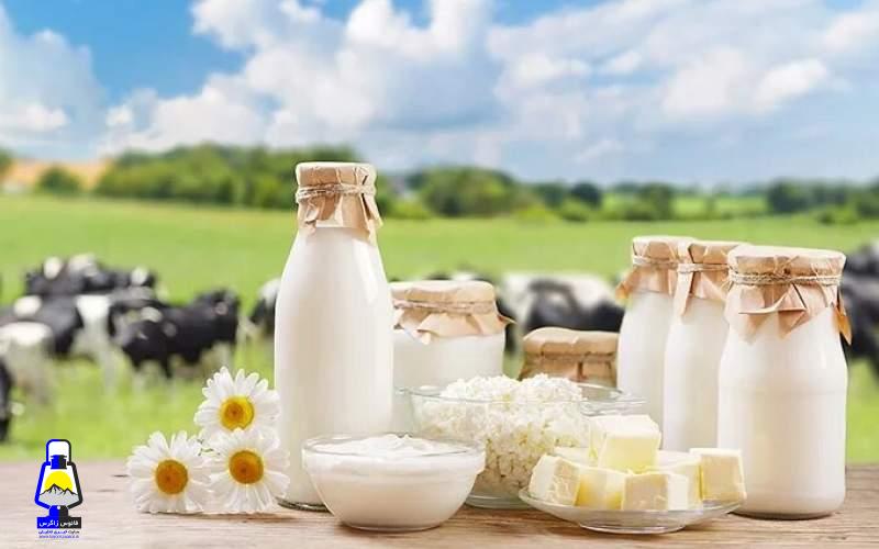 شیر چاق‌کننده است؟