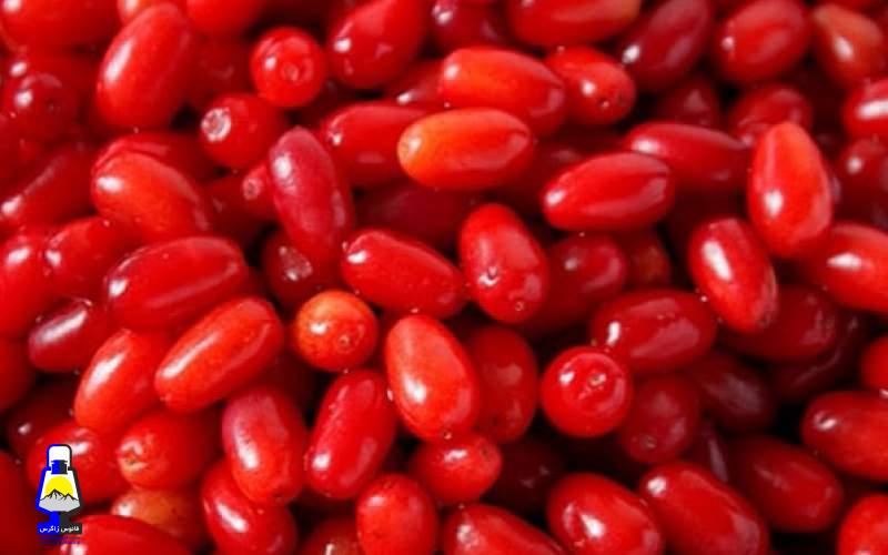 میوه‌کوچک با قدرت‌شگفت‌انگیز برای سلامت بدن