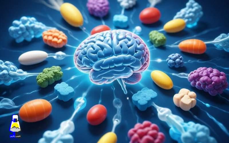 هشت خوراکی مفید برای سلامت مغز