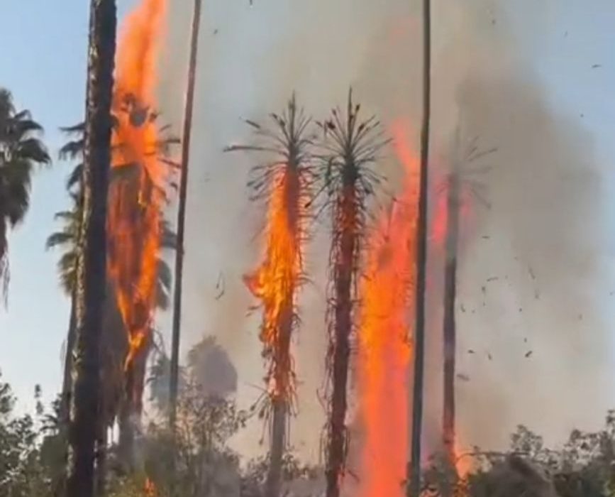 آتش سوزی در باغ تاریخی چشمه بلقیس چرام و واکنش عجیب مسولان چرام به این اتفاق تلخ