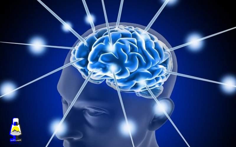 ارتباط ساعت داخلی بدن با خطر زوال عقل