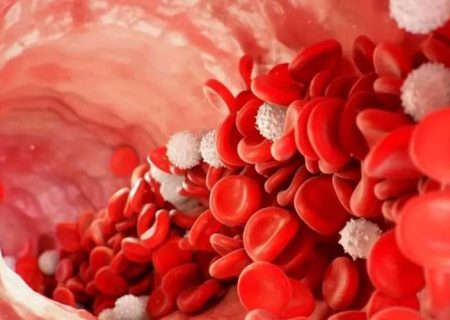 افت گلبول سفید خون، زنگ خطر سلامت بدن