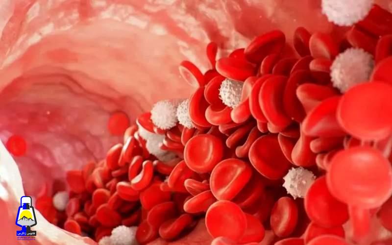 افت گلبول سفید خون، زنگ خطر سلامت بدن
