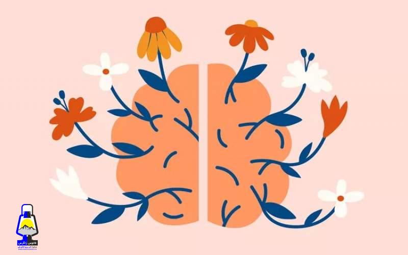 این عادت ساده مغز شما را جوانتر میکند