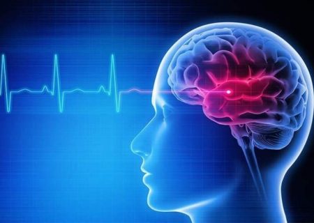 برای پیر نشدن مغز و دوری از آلزایمر چه کنیم؟