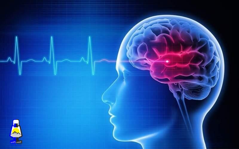 برای پیر نشدن مغز و دوری از آلزایمر چه کنیم؟