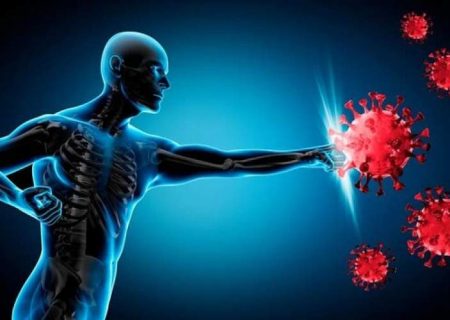 تقویت سیستم ایمنی بدن در سرما با این روش