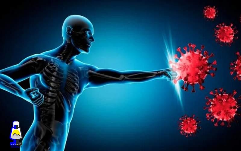 تقویت سیستم ایمنی بدن در سرما با این روش