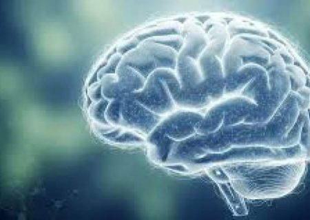 شگفتی های جهان مغز