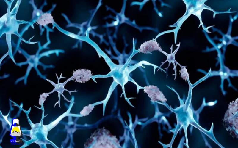 چرا مبتلایان به سرطان از آلزایمر مصوناند؟