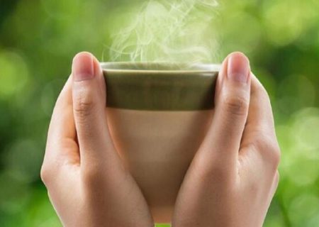 چگونه بهترین بهره را از چای سبز ببریم؟