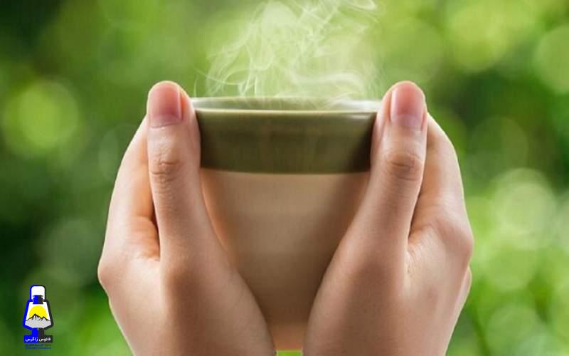 چگونه بهترین بهره را از چای سبز ببریم؟