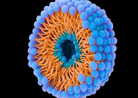 کمک حباب‌ها به سرطان برای حمله و توقف