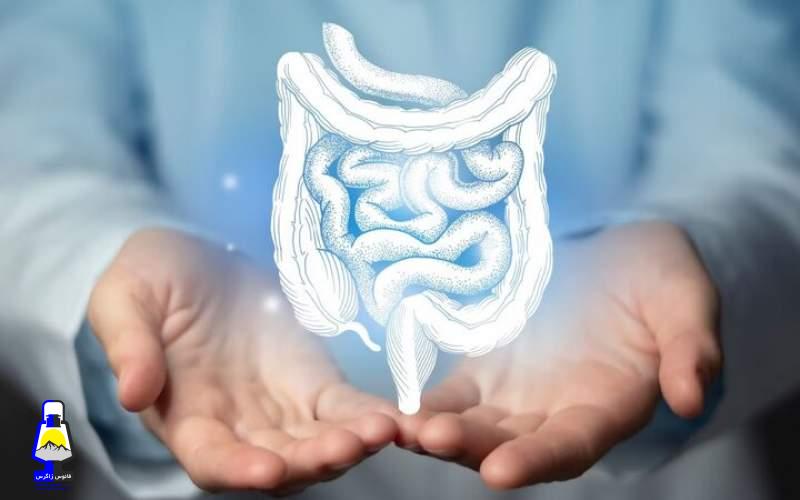 ۵ روش ساده برای بهبود سلامت روده