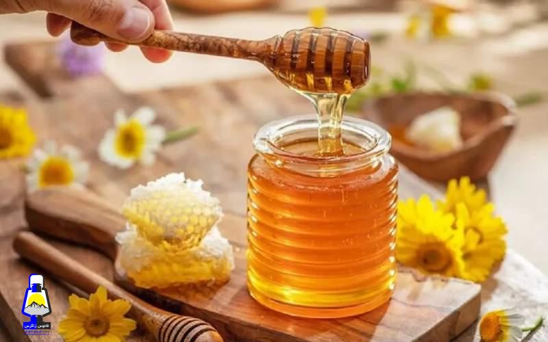 بهترین غذا برای ورزش و ریکاوری