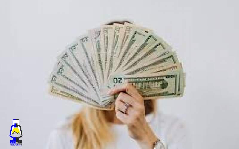 سود یک زن ایرانیتبار از هوش مصنوعی