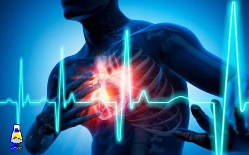 مواد غذایی مفید برای سلامت قلب رابشناسید